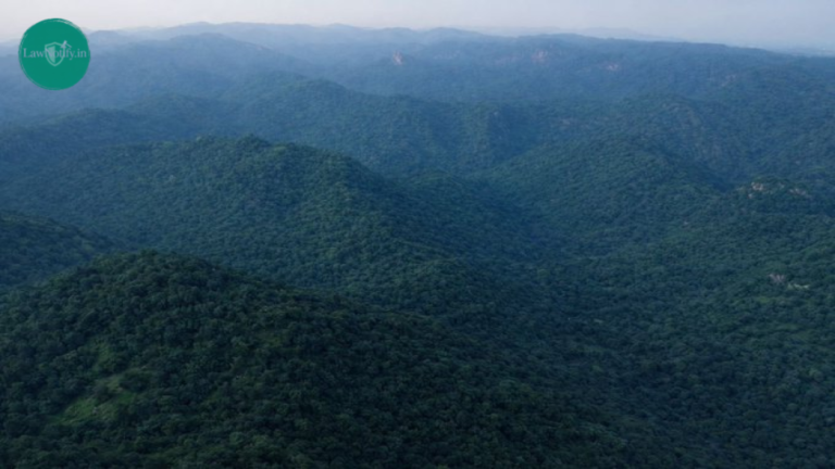 Kumbhalgarh Wildlife Sanctuary Declared Eco-Sensitive Zone to Boost Conservation and Community Livelihoods