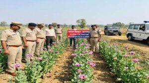 Opium Cultivation Found on Over Two Acres in Balrampur