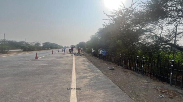 Bamboo Fencing Along NH-130 Bilaspur Raipur Expressway